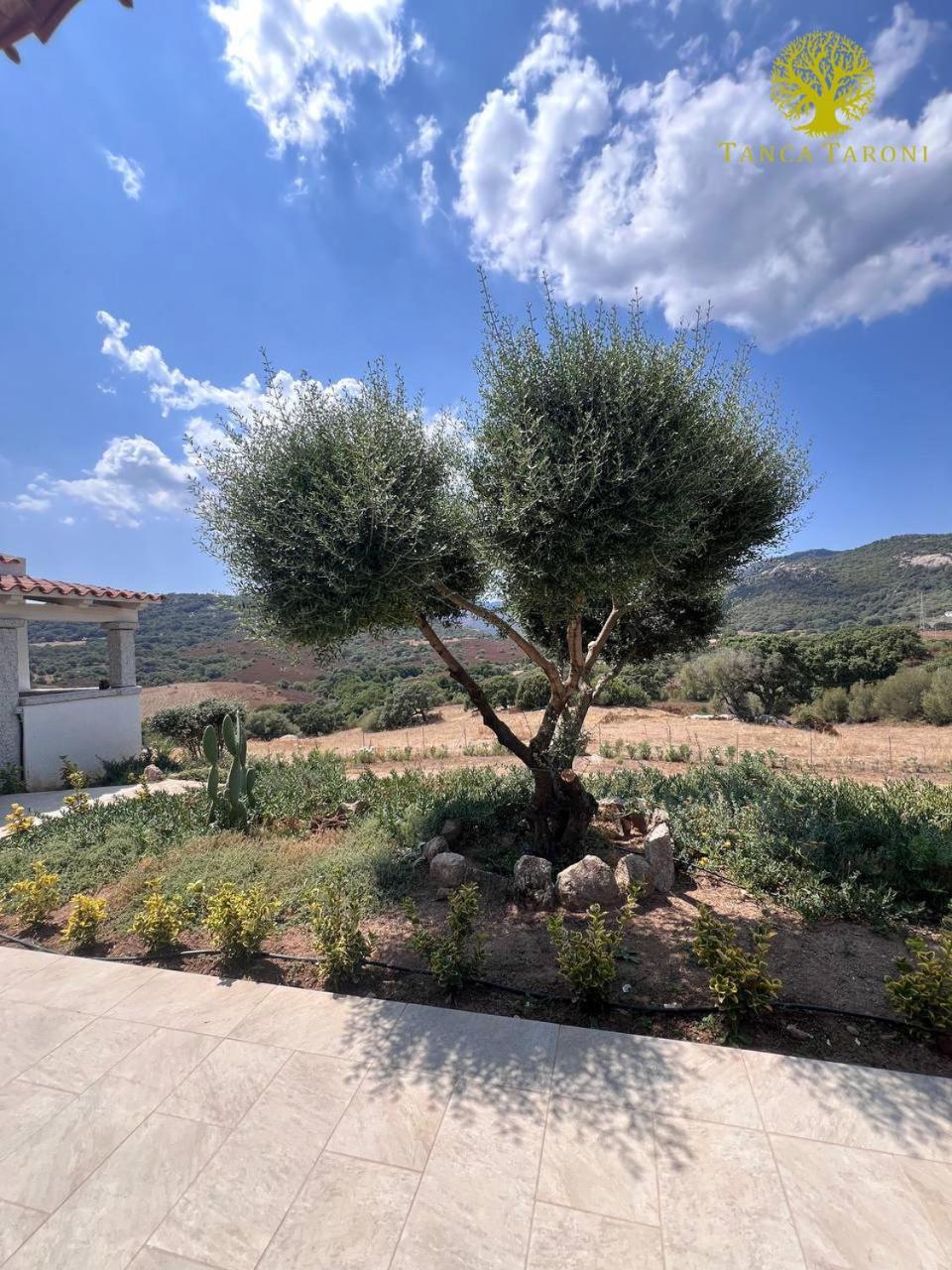 Agriturismo Bed And Breakfast Tanca Taroni Telti エクステリア 写真