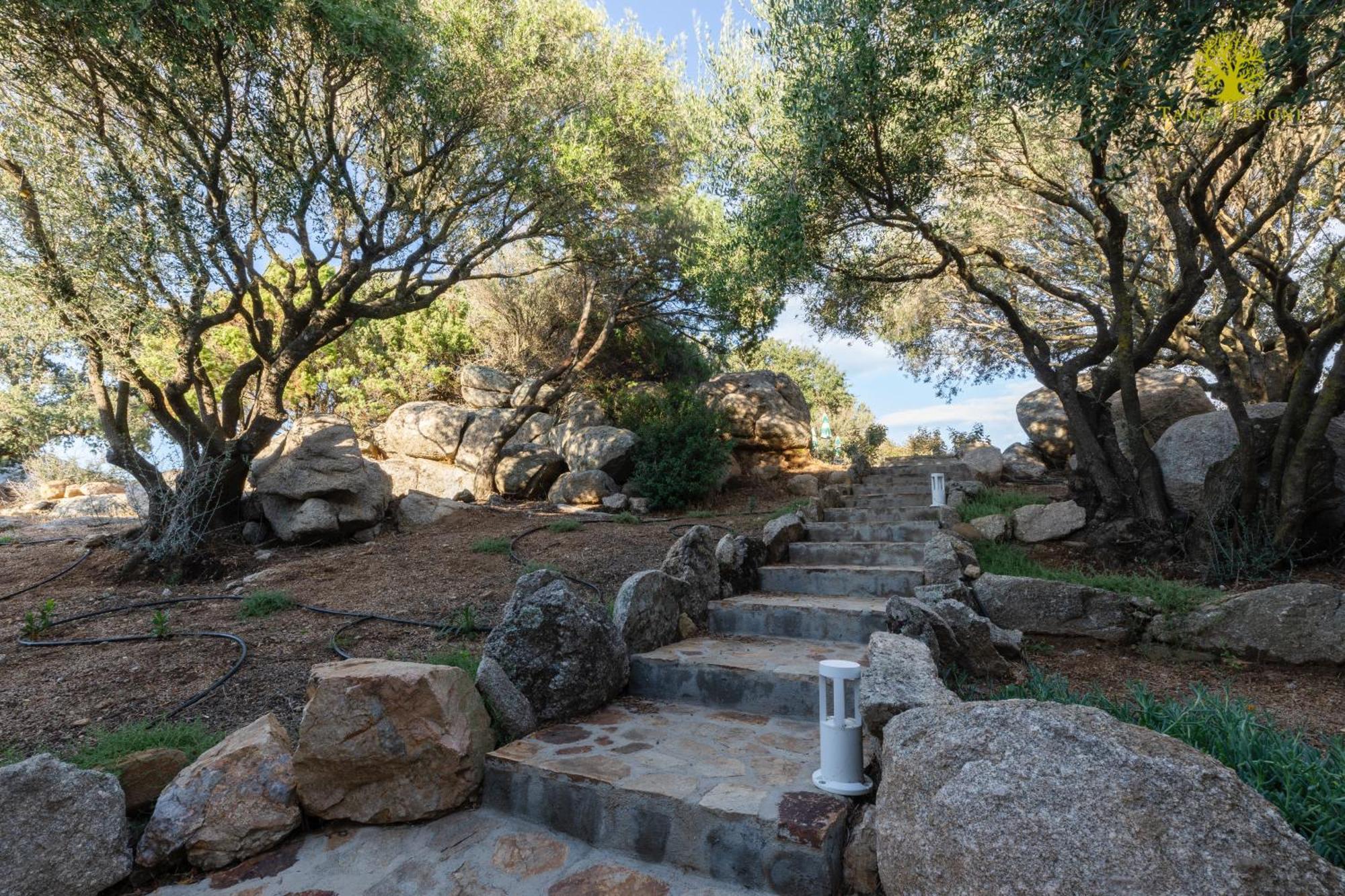 Agriturismo Bed And Breakfast Tanca Taroni Telti エクステリア 写真