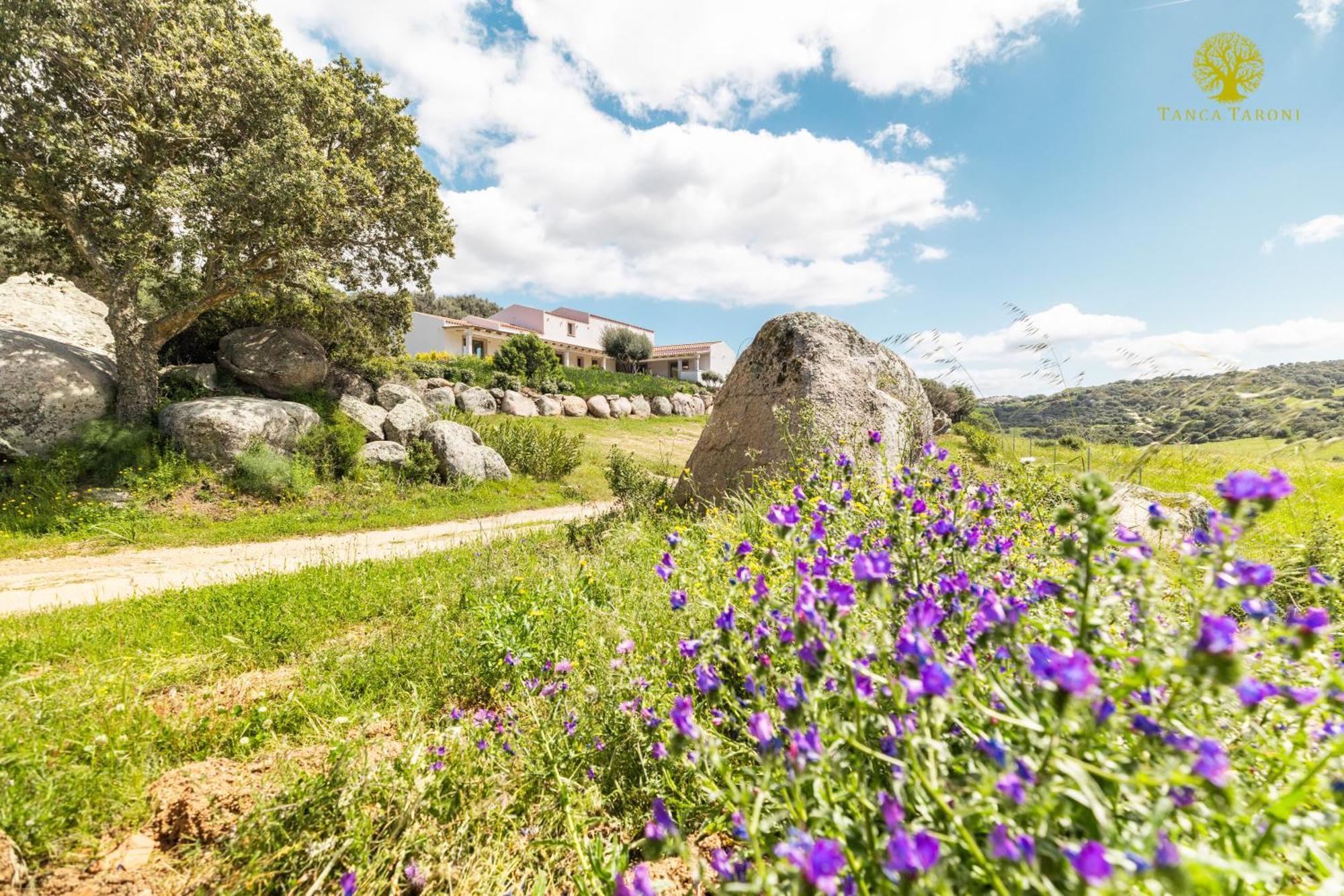 Agriturismo Bed And Breakfast Tanca Taroni Telti エクステリア 写真