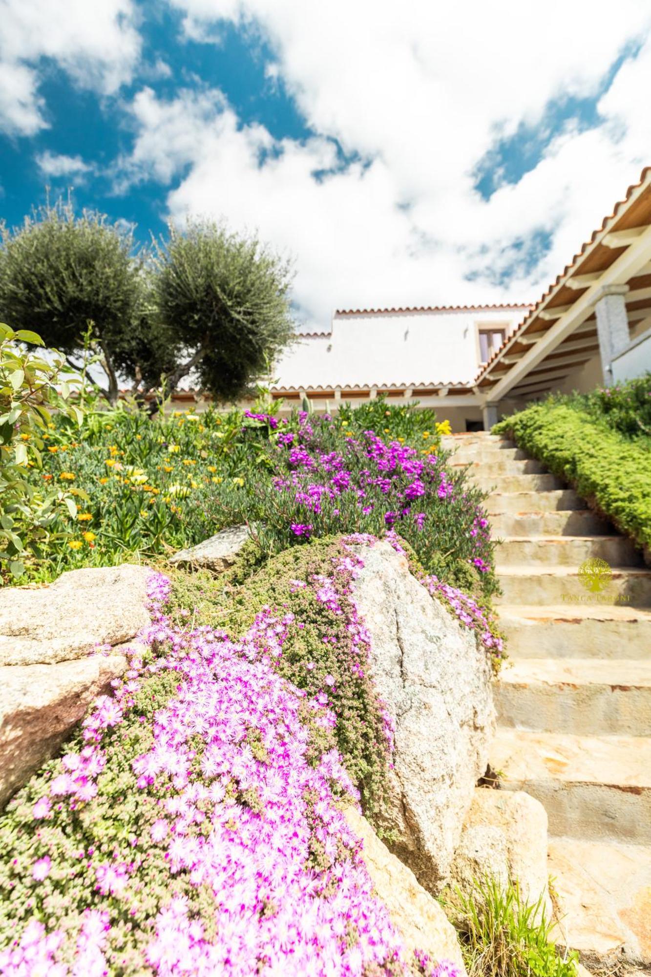 Agriturismo Bed And Breakfast Tanca Taroni Telti エクステリア 写真