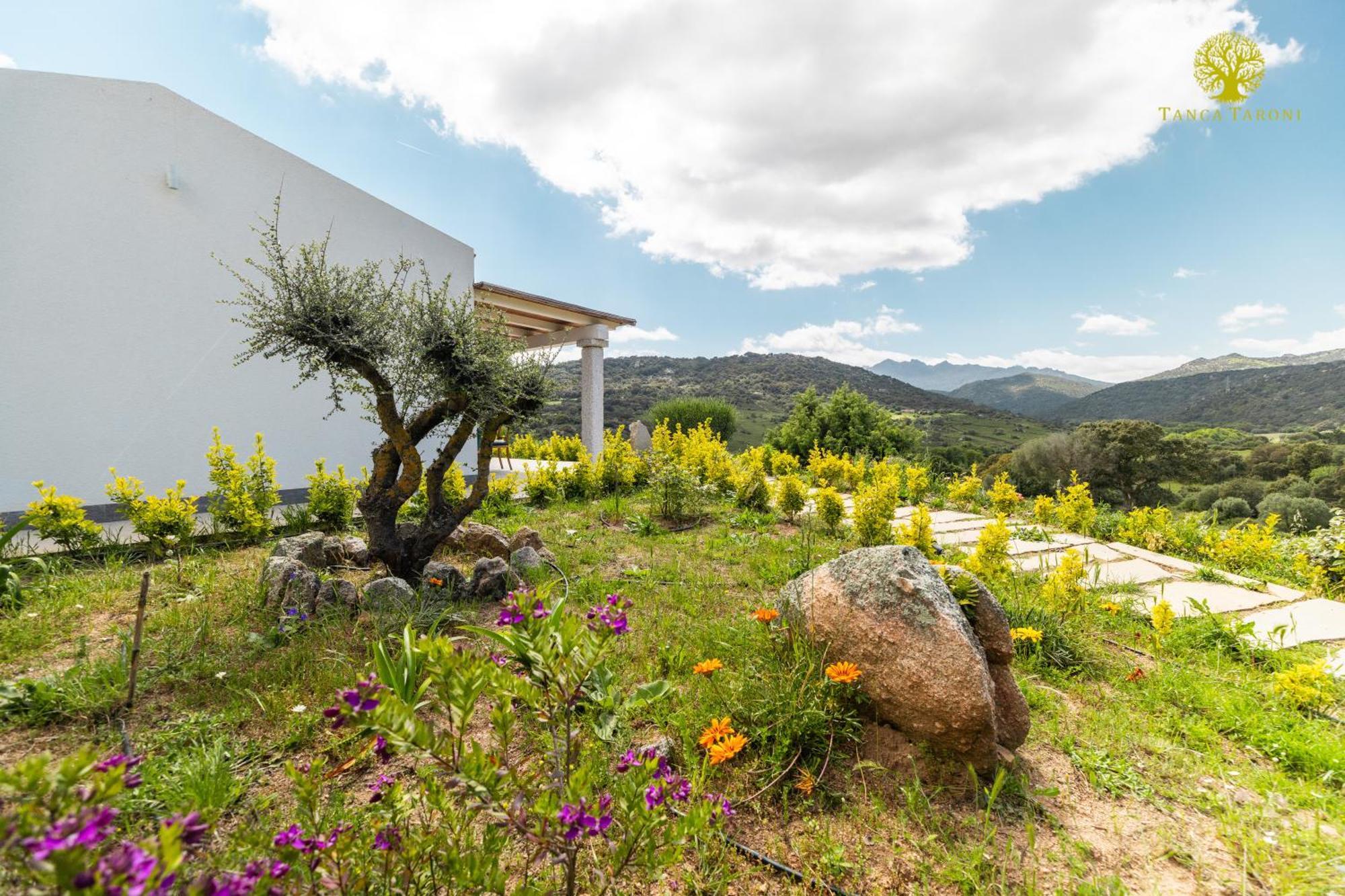 Agriturismo Bed And Breakfast Tanca Taroni Telti エクステリア 写真